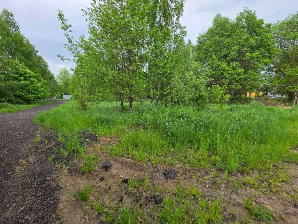 Участок в Московская область, Мытищи городской округ, д. Витенево  ... - Фото 2