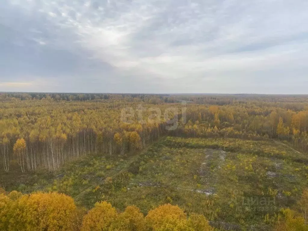 Участок в Костромская область, Кострома Волгореченское ш. (524.0 сот.) - Фото 1