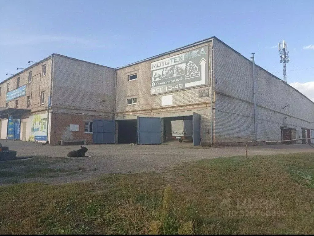Гараж в Оренбургская область, Оренбург Транспортная ул., 4 (20 м) - Фото 2