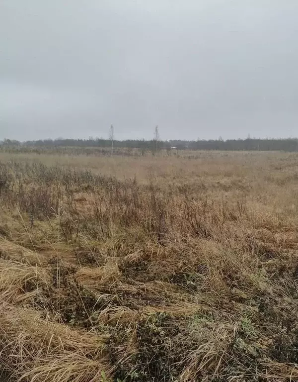 Участок в Ленинградская область, Гатчинский муниципальный округ, д. ... - Фото 0