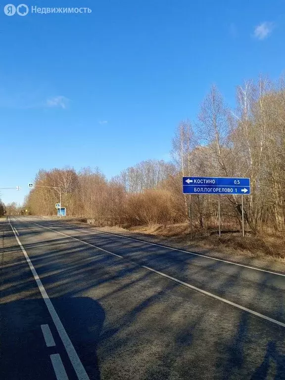 Участок в Ярославская область, Рыбинский муниципальный округ, деревня ... - Фото 2