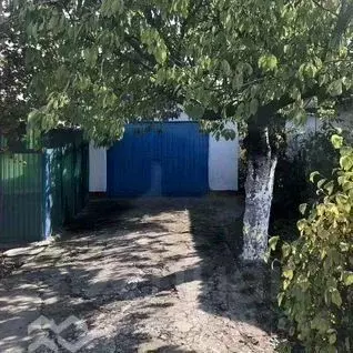 Дом в Крым, Черноморский район, с. Новоивановка ул. Целинная (58 м) - Фото 2