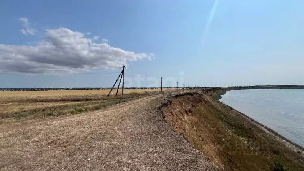 Участок в Крым, Ленинский район, с. Калиновка ул. Садовая (452.0 сот.) - Фото 0