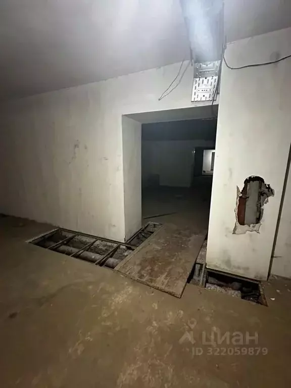 Помещение свободного назначения в Красноярский край, Красноярск просп. ... - Фото 2