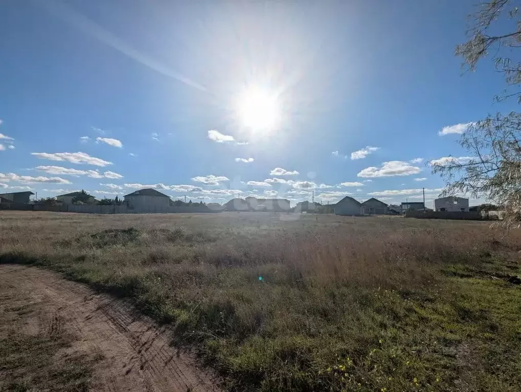 Участок в Крым, Черноморский район, с. Новосельское, Мечта-1 СНТ  ... - Фото 1