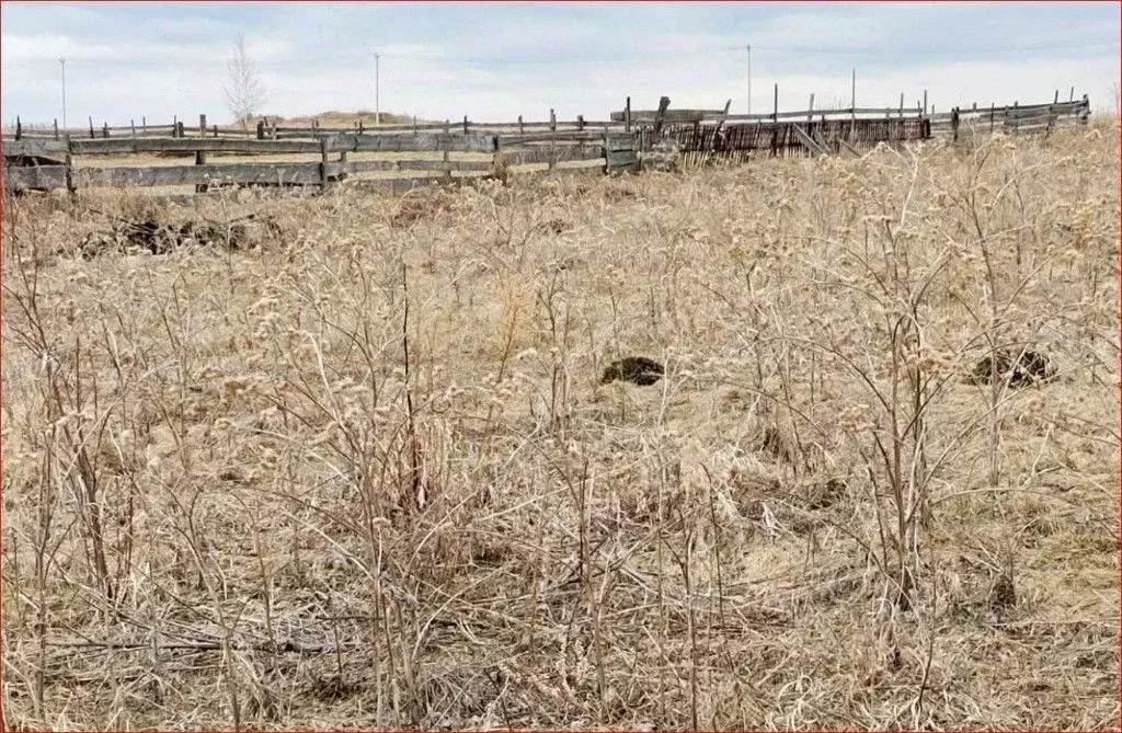 Участок в Башкортостан, Дуванский район, Ариевский сельсовет, д. ... - Фото 1