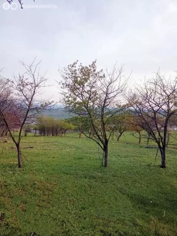 Участок в посёлок Мирный, СНТ Связист (4 м) - Фото 1