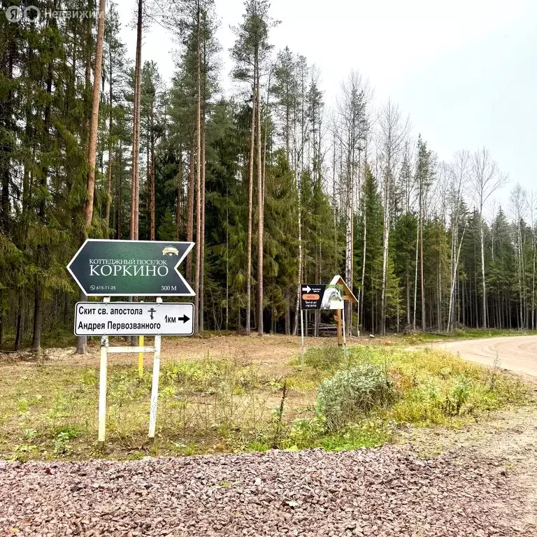 Участок в Колтушское городское поселение, коттеджный посёлок Коркино ... - Фото 1