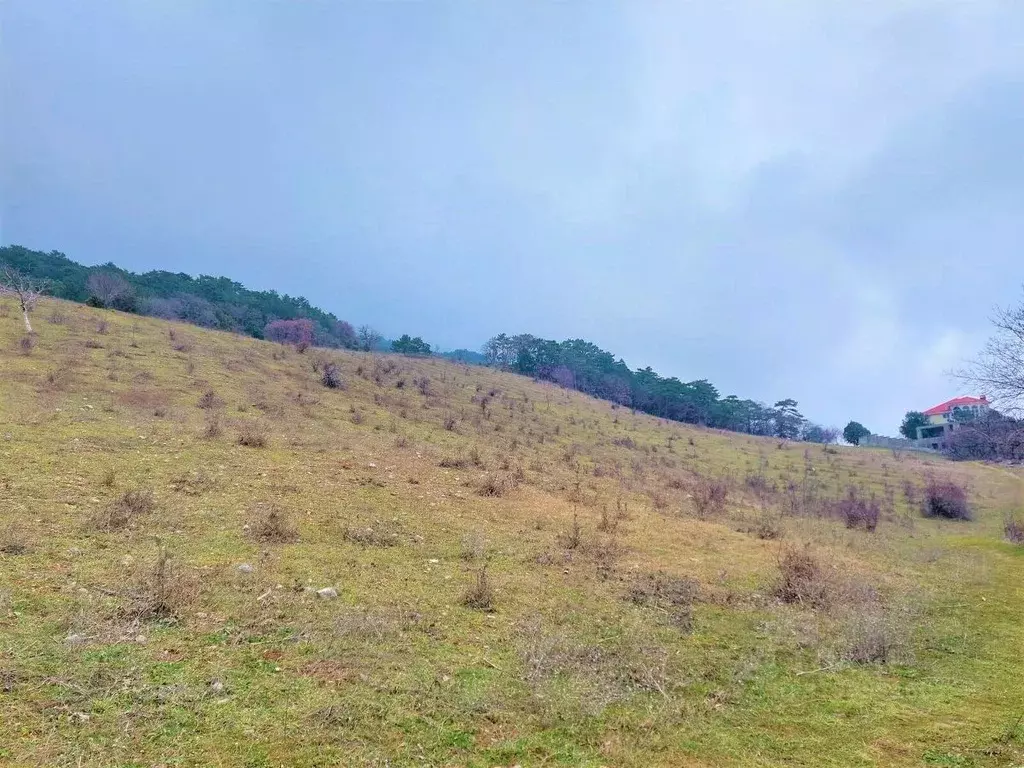 Участок в Крым, Ялта муниципальный округ, Никита пгт ул. Имени Героя ... - Фото 1