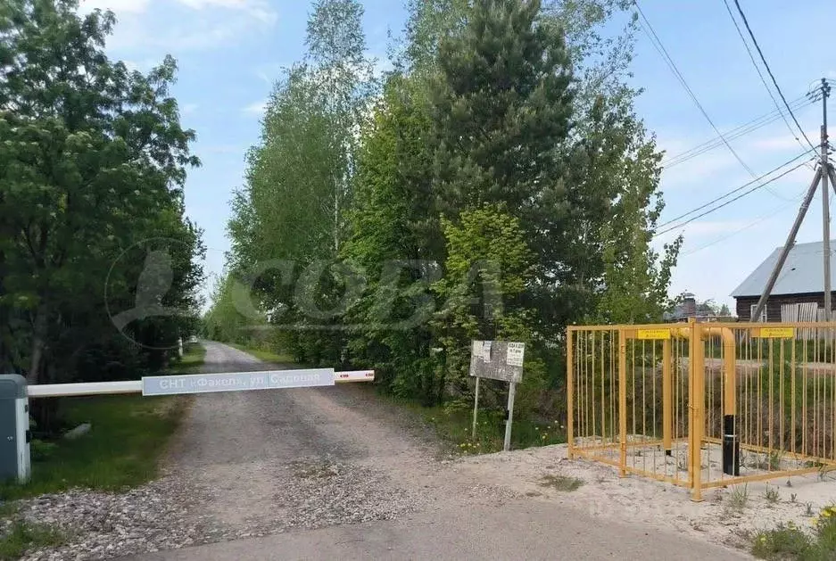 Участок в Тюменская область, Тюмень Факел СНТ, 8-я линия (1074.0 сот.) - Фото 1