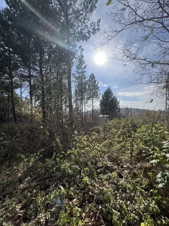 Участок в Иркутская область, Иркутский муниципальный округ, Новая ... - Фото 2