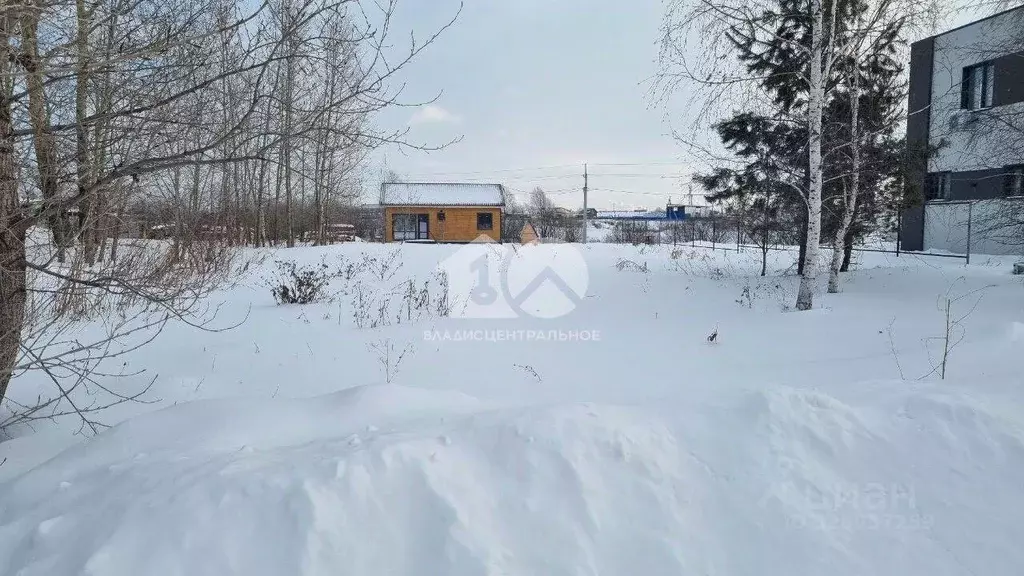 Участок в Новосибирская область, Новосибирский район, Толмачевский ... - Фото 1