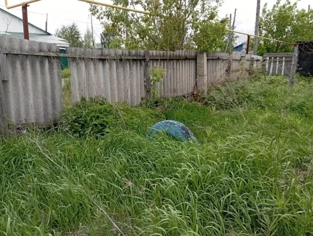 Участок в Омская область, Кормиловка рп ул. Карбышева, 23 (12.0 сот.) - Фото 2