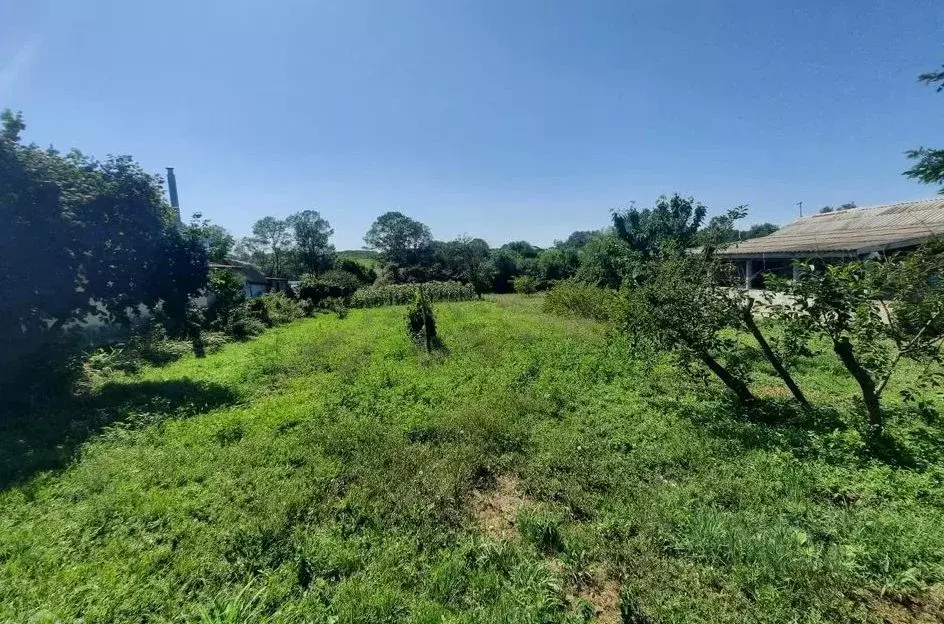 Участок в Краснодарский край, Анапа муниципальный округ, Иванов хут. ... - Фото 1