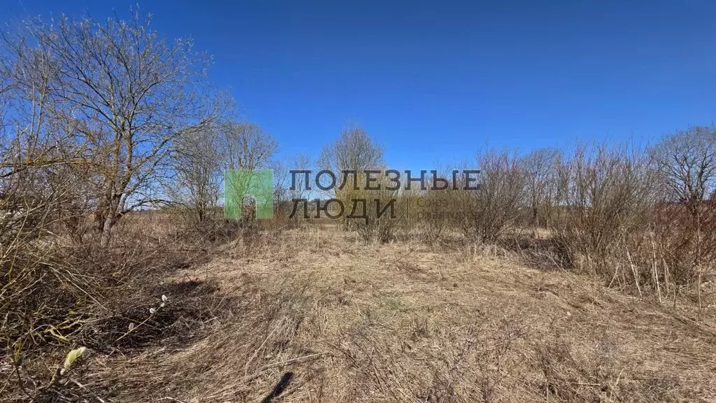 Участок в Ленинградская область, Гатчинский муниципальный округ, Тайцы ... - Фото 1