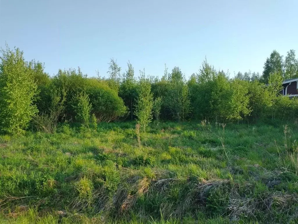 Участок в Ленинградская область, Выборгский район, Рощинское городское ... - Фото 0