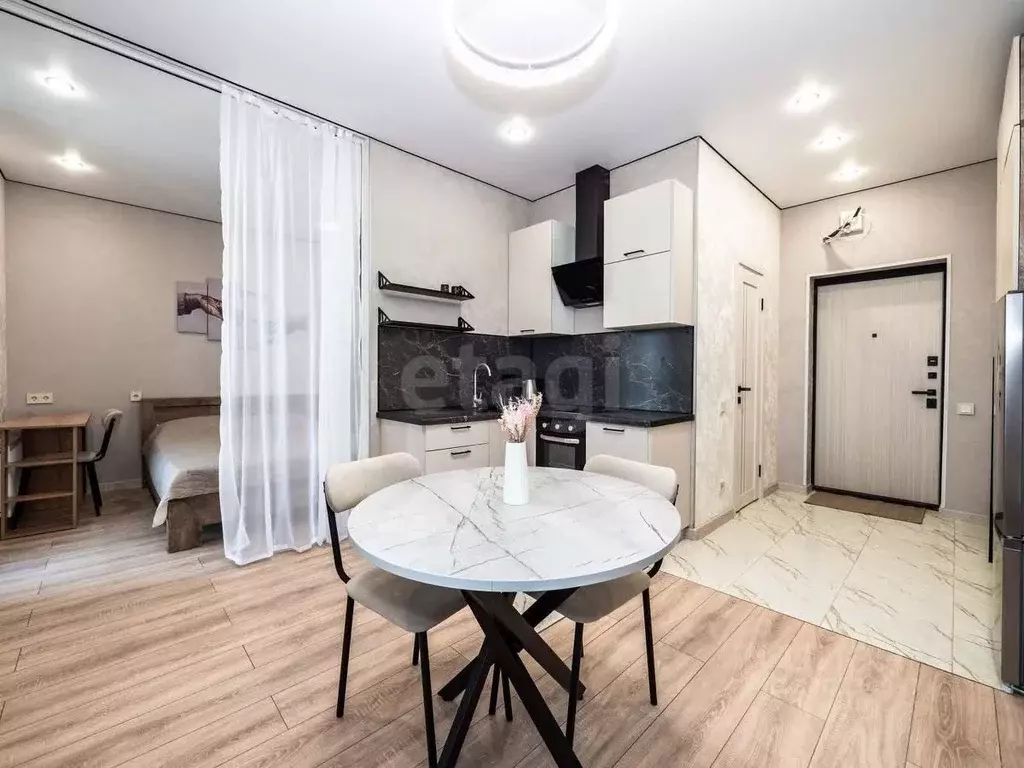 Студия Новосибирская область, Новосибирск ул. Фрунзе, 220 (29.3 м) - Фото 0