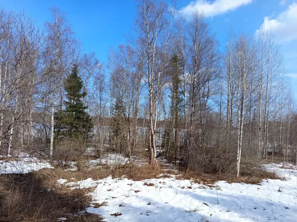 Участок в Новгородская область, Валдайский район, Рощинское с/пос, д. ... - Фото 1