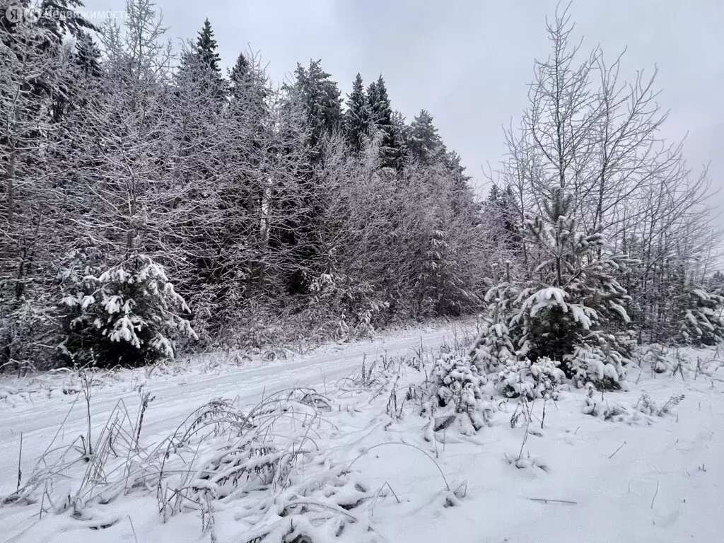 Участок в Киров, улица Германа Якшина, 16 (10.6 м) - Фото 1