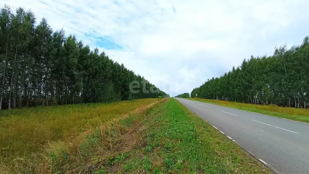 Участок в Лямбирский район, село Саловка (674 м) - Фото 0