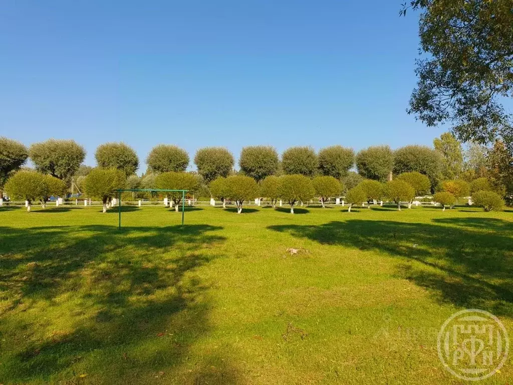 1-к кв. Ленинградская область, Сланцы ул. Кирова, 12 (33.0 м) - Фото 2