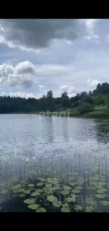 Участок в Псковская область, Новоржевский муниципальный округ, д. ... - Фото 2