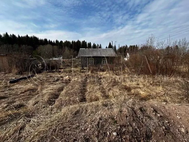 Участок в Ленинградская область, Выборгский район, Каменногорское ... - Фото 1