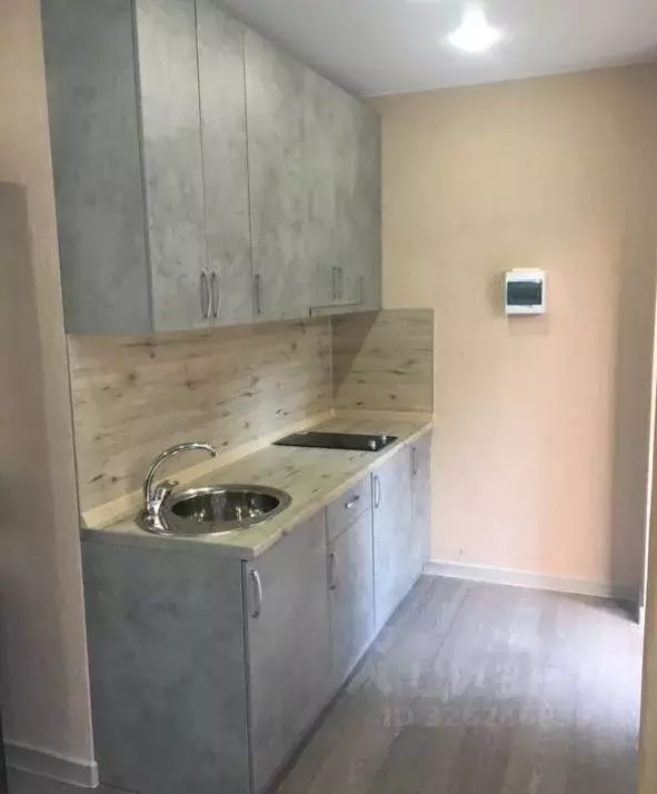 Студия Краснодарский край, Сочи Виноградная ул., 133/30 (28.0 м) - Фото 2