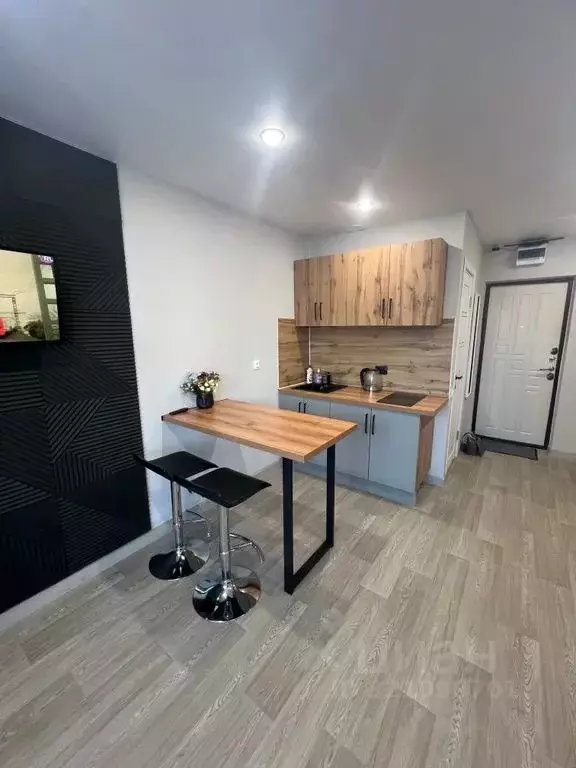 Студия Татарстан, Казань Меридианная ул., 30 (24.0 м) - Фото 2