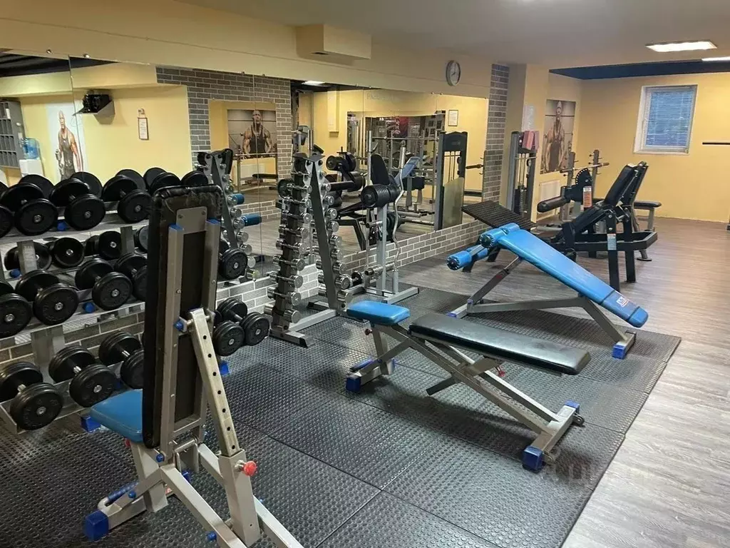 Помещение свободного назначения в Краснодарский край, Геленджик ... - Фото 1