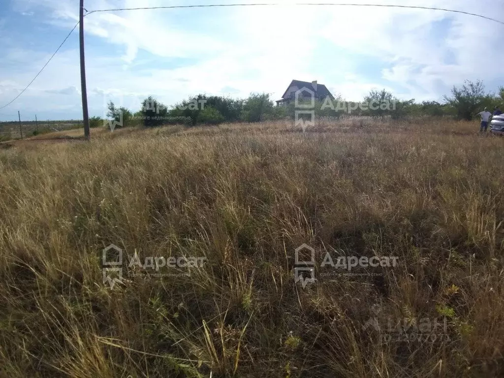 Участок в Волгоградская область, Городищенский район, Царицынское ... - Фото 1