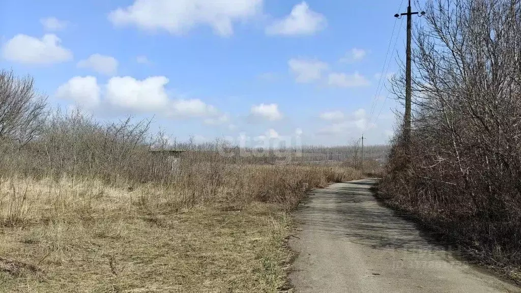 Участок в Белгородская область, Белгородский район, с. Стрелецкое, ... - Фото 1