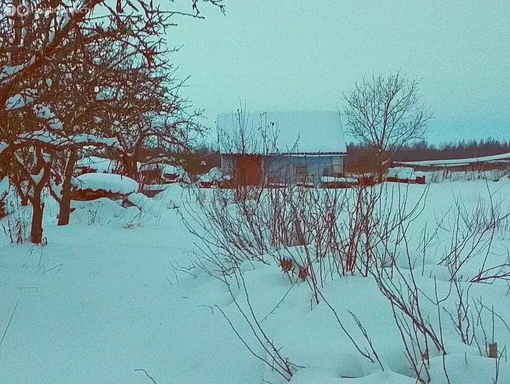 Дом в Пролетарское городское поселение, деревня Замленье, 20 (50 м) - Фото 1