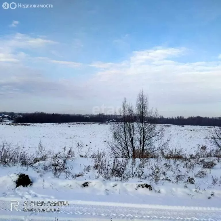 Участок в Тогучинский район, деревня Калаганово (16 м) - Фото 1