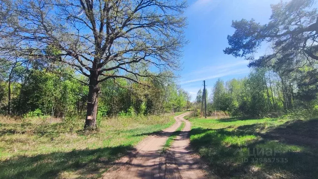 Участок в Новгородская область, Солецкий муниципальный округ, д. ... - Фото 2