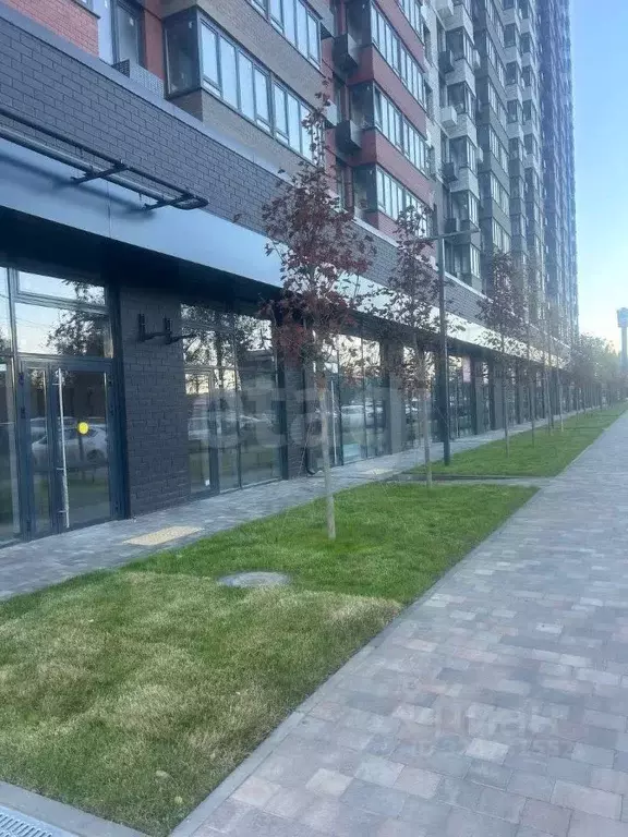 Студия Ростовская область, Ростов-на-Дону ул. Малиновского, 33/1 (24.4 ... - Фото 2