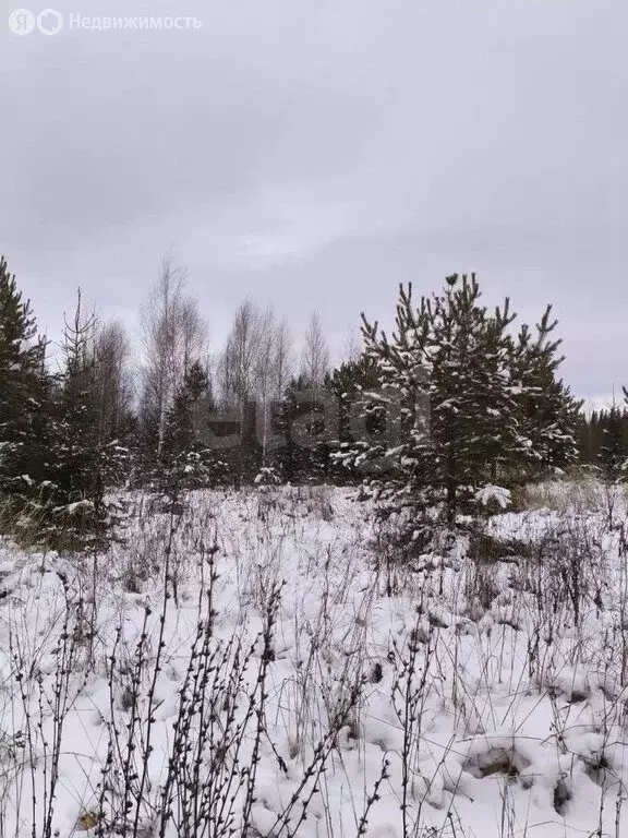 Участок в Пермь (16.51 м) - Фото 1