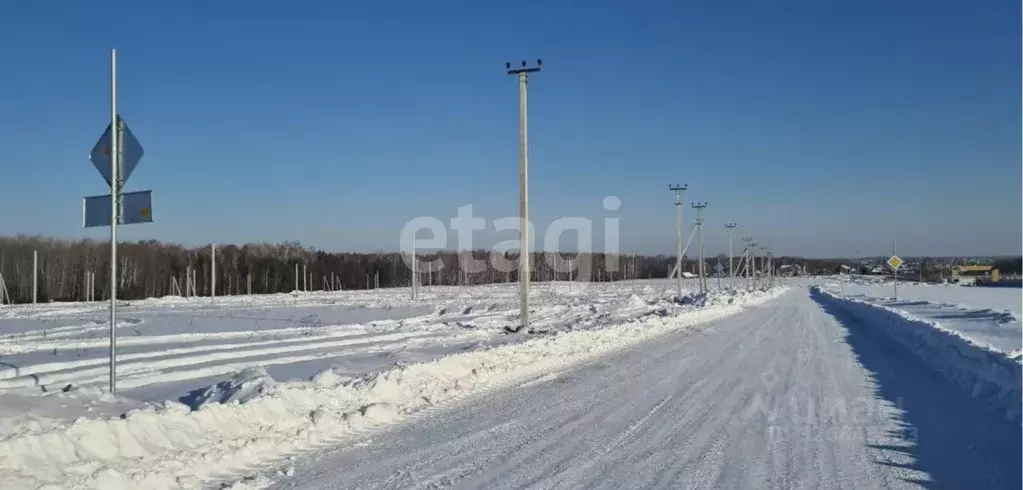 Участок в Тюменская область, Тюменский муниципальный округ, с. Кулига, ... - Фото 1