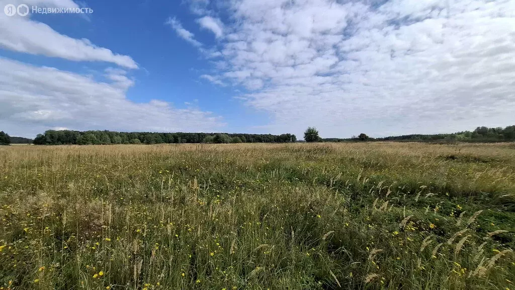 Участок в Московская область, городской округ Кашира (287 м) - Фото 2