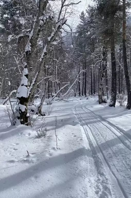 Участок в Карачаево-Черкесия, Зеленчукский район, с. Архыз  (4.66 ... - Фото 1