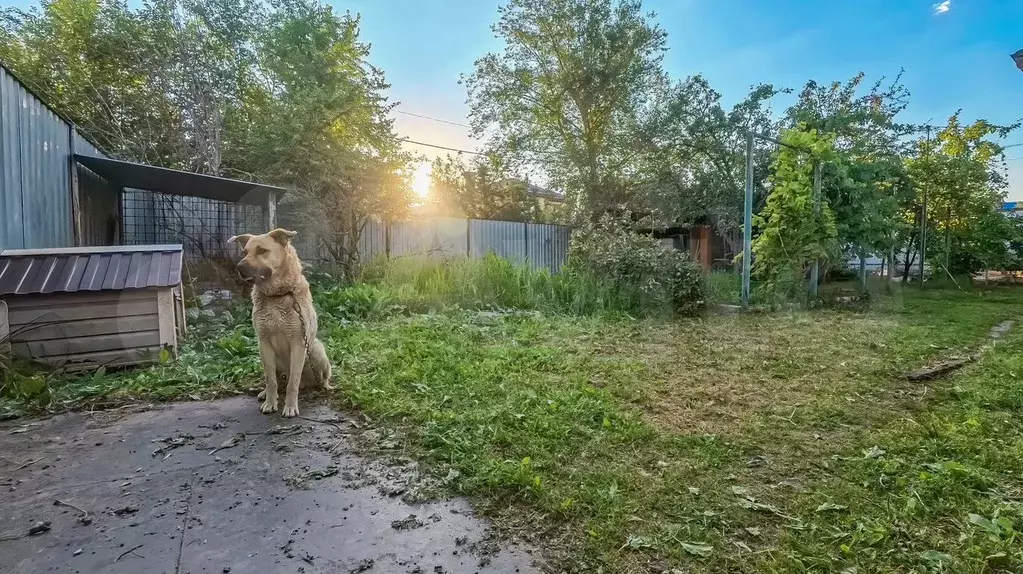 Участок 4 сот. (ИЖС) - Фото 1