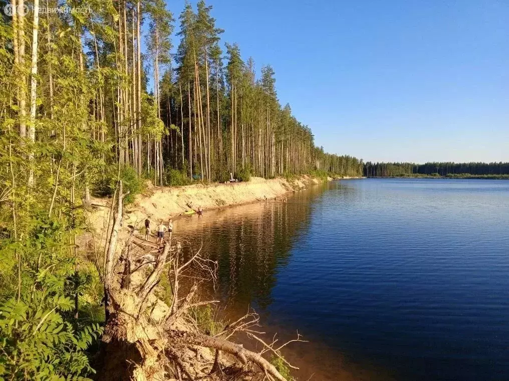 Участок в Всеволожский район, городской посёлок имени Свердлова, улица ... - Фото 1