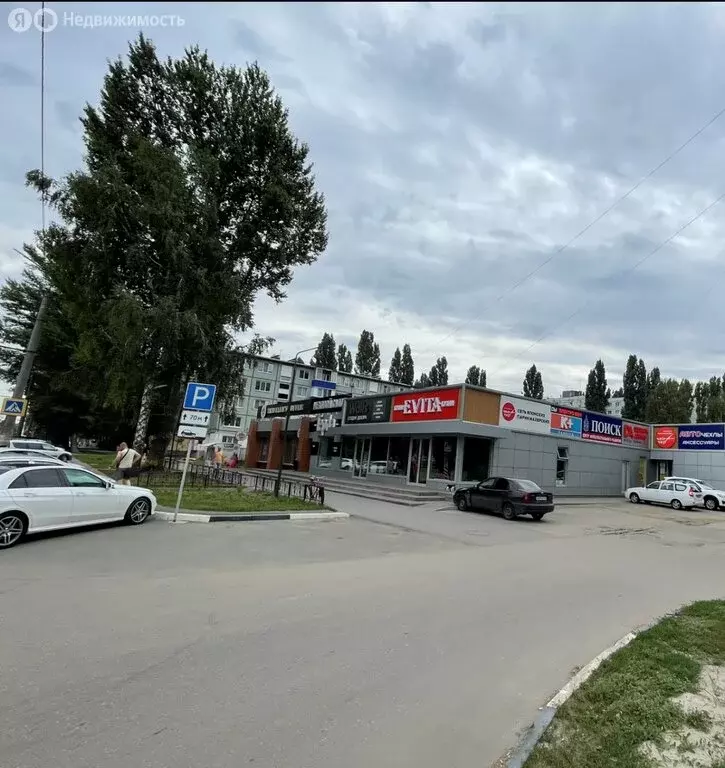 Помещение свободного назначения (33.5 м) - Фото 0