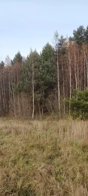 Участок в Московская область, Клин городской округ, Решетниково рп, ... - Фото 0