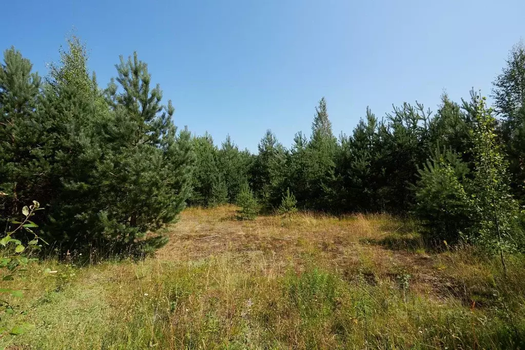 Участок в Ленинградская область, Выборгский район, Первомайское с/пос, ... - Фото 2