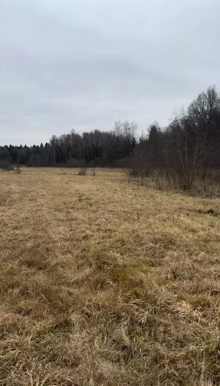 Участок в Московская область, Истра городской округ, Глебово кп 198 ... - Фото 0