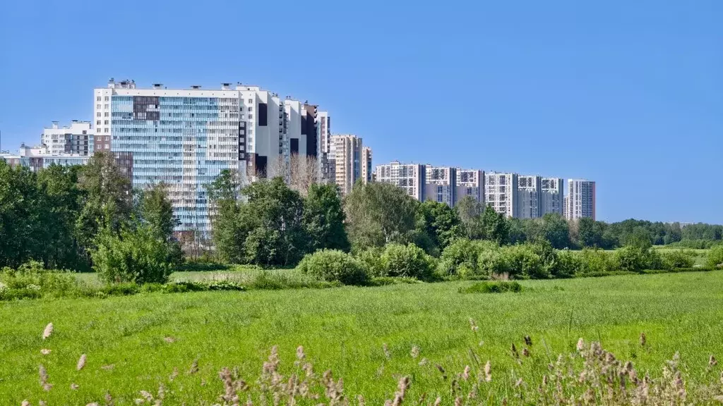 Студия Санкт-Петербург аллея Арцеуловская, 23к1 (24.5 м) - Фото 0