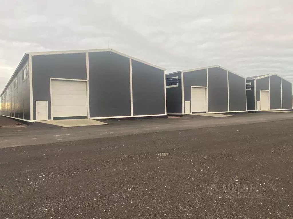 Помещение свободного назначения в Ленинградская область, Всеволожский ... - Фото 1