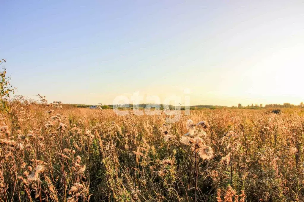 Участок в Ярославская область, Гаврилов-Ямский муниципальный округ, ... - Фото 1