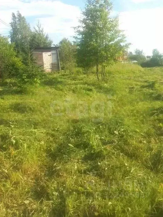 Участок в Вологодская область, Колос садоводческое товарищество  (10.0 ... - Фото 1